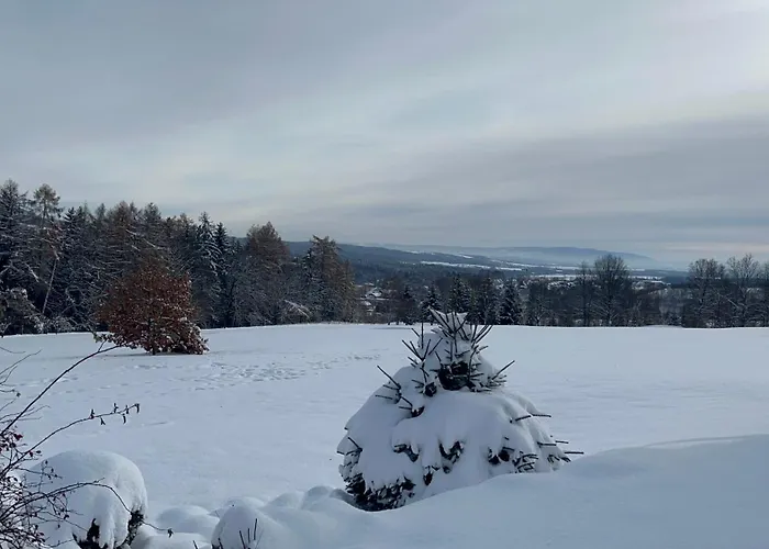 Golf Gasthof 3*